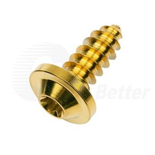 Titan Verkleidung Schrauben M4