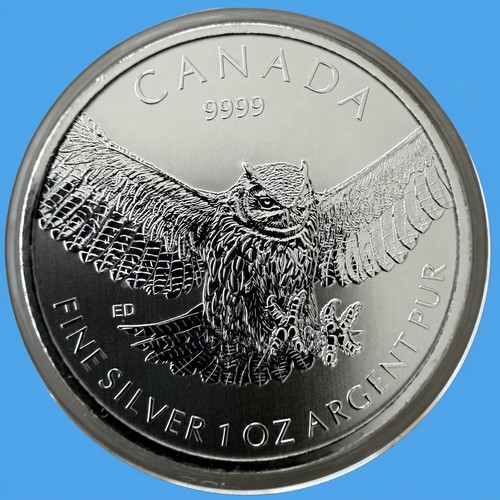 Kanada birds prey komplette - of,