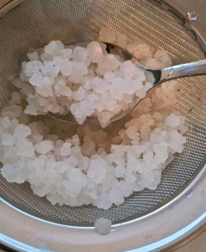 Wasserkefir bioqualität - wasserkefir,