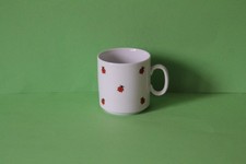 Käfer München Marienkäfer