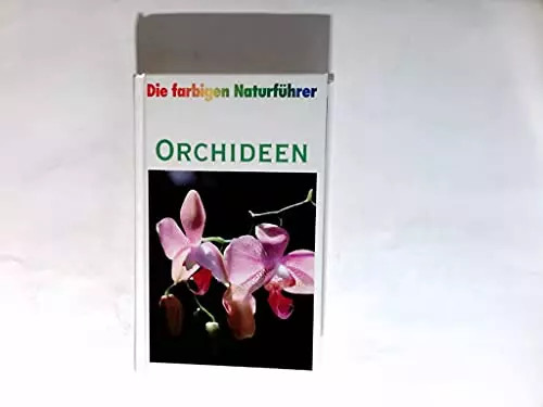 Orchidee die farbigen - orchidee.,