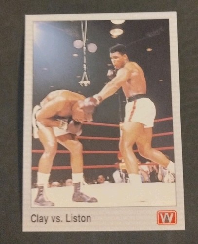 1991 all world boxing - all,