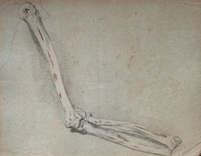 Knochen Arm Arme Akademische