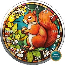 2025 1OZ Silber Kanada Buntglas Eichhörnchen coloriert Farbe zert. NUR 100 #22