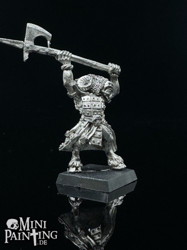 Warhammer fantasy tiermenschen - warhammer,