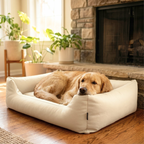 Orthopädisches hundebett - orthopädisches,
