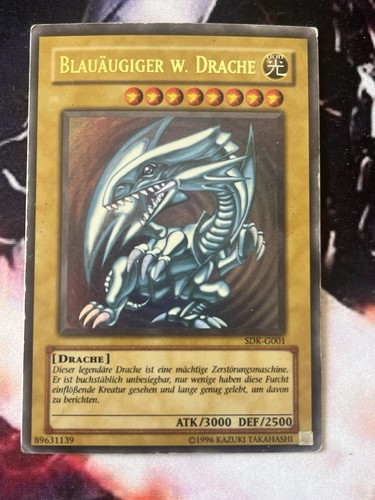 Blauäugiger weißer - blauäugiger,