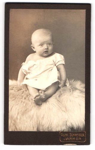 Fotografie alfred schreiber - alfred,