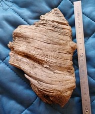 Treibholz Schwemmholz