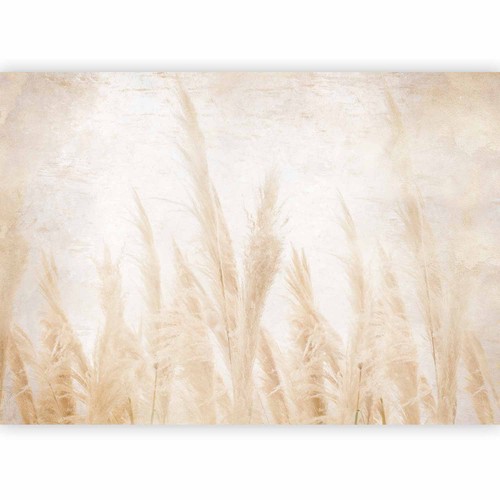 Natur grass halm - grass, vlies