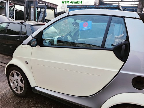 Tür links smart 450 - links,