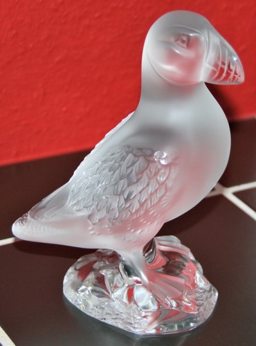 Papageientaucher puffin von - papageientaucher,