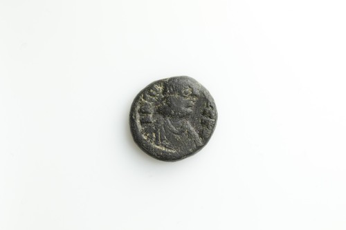 Mauricius tiberius - tiberius,