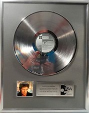 David Hasselhoff - Crazy For You Collage mit platin / goldene Schallplatte