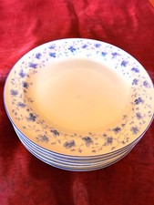 Arzberg Blaublüte 1382  1