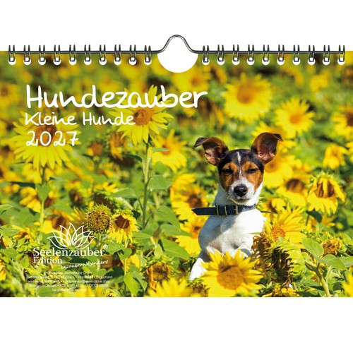 Hundezauber kleine hunde din - hundezauber,