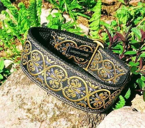 Hundehalsband extra breit - , 5cm