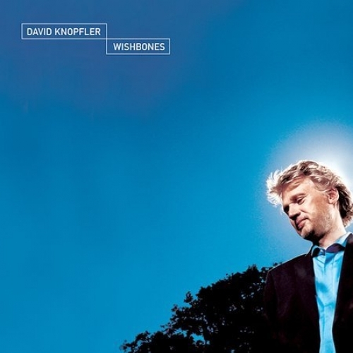 CD*DAVID