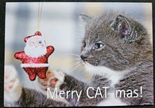 Katzenpostkarte, AK Katzen