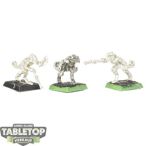 Lizardmen chameleon skinks - lizardmen, 3