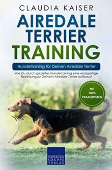 Airedale terrier training - terrier,