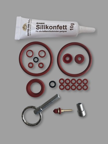 Wartungsset dichtung ring - wartungsset,
