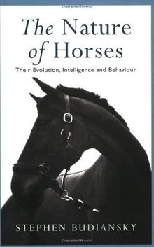The nature horses - the, von