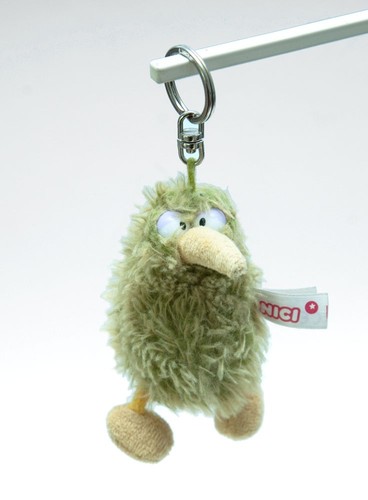 Nici kiwi vogel grün - kiwi,