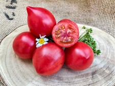 Malinowy Retro  mittelfrühe