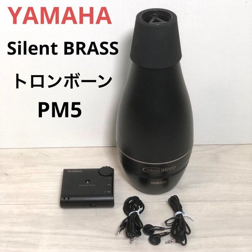 Yamaha silent brass - silent,
