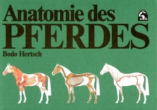 Anatomie des pferdes bodo - anatomie,