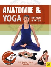 Anatomie & Yoga Muskeln in Aktion