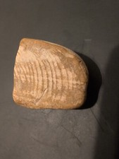 Fossil