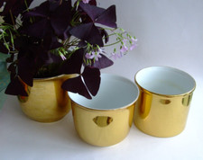 Vintage Gerold Porzellan Design Florist Übertopf Blumen Topf Gold W Germany 3Set