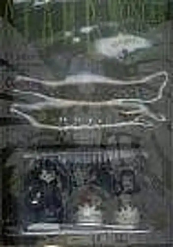 Clamps wonderworld - clamps,