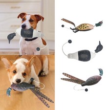 Jagd Lockvogel Hundespielzeug