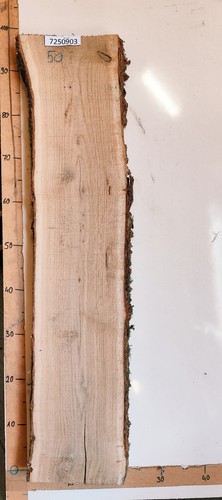 Eiche 50mm 28mm - eiche,