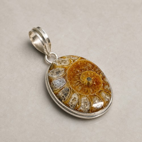 Ammonit fossil 925 - ammonit,