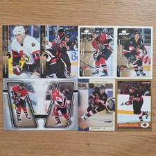 Trading Card Lot Sammelkarten Eishockey NHL Konvolut Sammlung Ottawa Senators