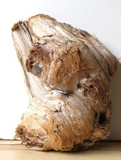 Treibholz Schwemmholz