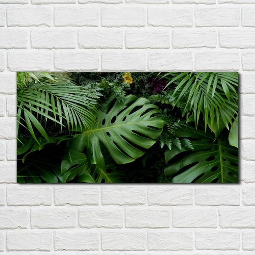 Acrylglasbild wandbild - acrylglasbild,