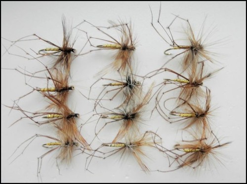 Daddy long legs - daddy,