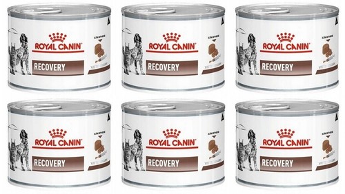Royal canin dog cat recovery - royal,