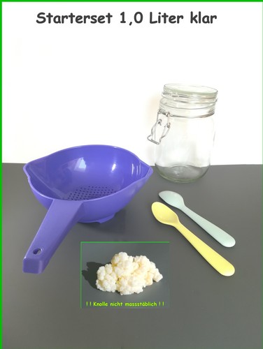 Milch kefir pilz - kefir, set