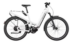 Riese & Müller - used