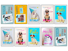 Geburtstagskarten Tiere