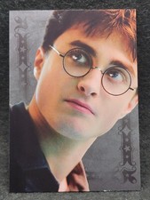 Panini harry potter evolution - panini,