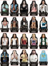 Auto-Sitzbezug Fotodruck