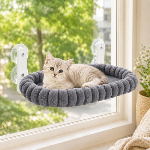 Katzen fensterliege fenster - fensterliege,,