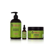 Mielle Rosmarin Minze Shampoo